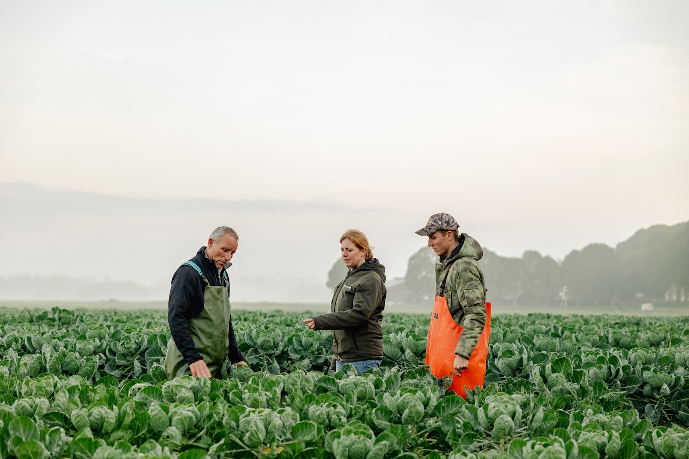 Boerschappen bij De Zwaluw